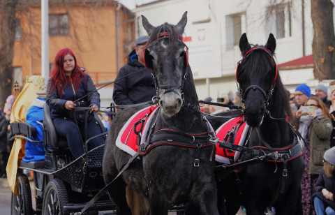 Konna asysta Orszaku Trzech Króli