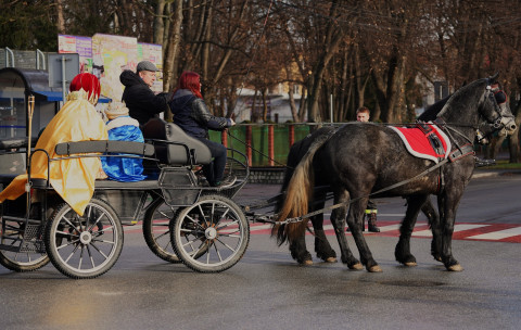 Konna asysta Orszaku Trzech Króli