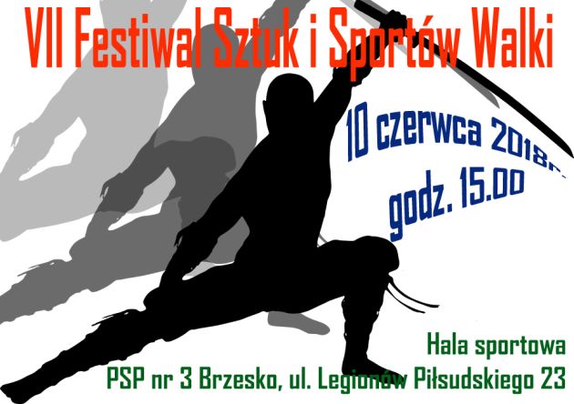 VII Festiwal Sztuk i Sportów Walki
