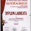 Bajdurek 2015 dyplom